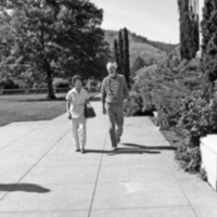 1985 Employees, Walking 04
