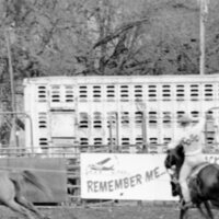 1978 Rodeo, Roping Pairs 09
