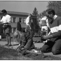 1989 Employees, Planting 05