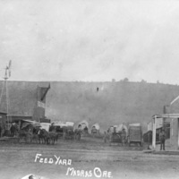 Madras, Feed Yard