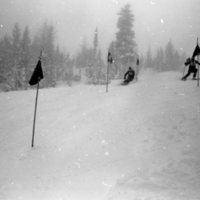 1981 Skiing, Men's Competition 22