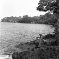 Looking Out to Sea 3