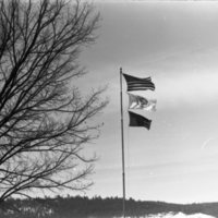 1976 Flags Fly