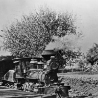 Train, Cove - Union Line 2