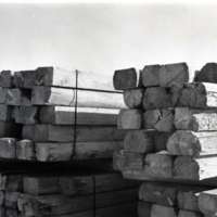 1980 Log Plant 18