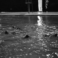 1982 Swimming, Synchronized 05