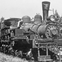 Logging Train 5