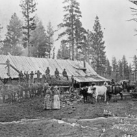 Summerville, McKinnis &amp; Son Sawmill