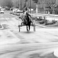 1988 Employee, Jack Johnson Carriage Ride 02