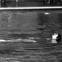 1979 Swimming, Synchronized 08