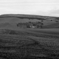 1980 Agriculture Study 12