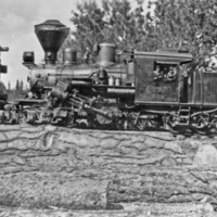 Logging Train 2