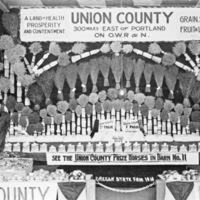 Union County Fair Exhibit 2
