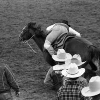 1986 Springfest, Rodeo Cowboys 20
