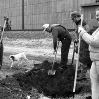 1985 Soroptimist Tree Plantings 13