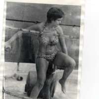 1979 Festival, Dunk Tank 2