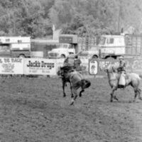 1978 Rodeo, Bronco Riding 18