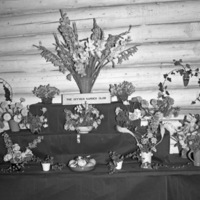 La Grande, Flower Show 1