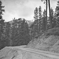 Oregon, Dirt Road 4