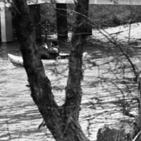 1986 Springfest, Raft Race 28