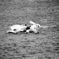 1978 Rodeo, Bulldogging 04