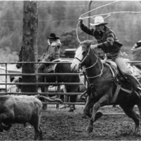80's Rodeo, Roping 3