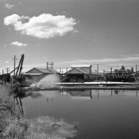 Tacoma, St. Paul Lumber Mill 1