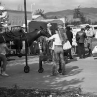 1986 Octoberfest, Roping 20