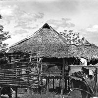 Leyte Local Houses 4