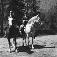 Reuter, Bob - Horse 1