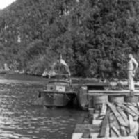 Hollandia, Warf 1