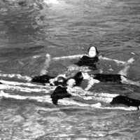 1979 Swimming, Synchronized 19