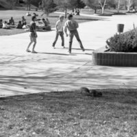 1986 Students, Outdoors in March 13