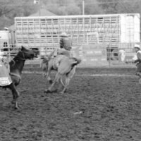 1987 Rodeo, Bronco Riding 06