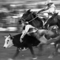 1979 Rodeo, Bulldogging 04