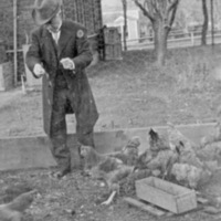 Reuter, Man &amp; Chickens 4