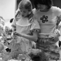 1977 Ackerman Elementary Plants