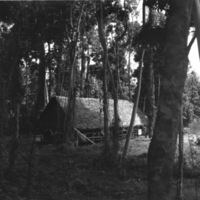 Dobodura Hut Sleeping Quarters 3