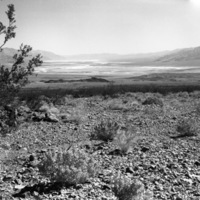 California, Death Valley 7