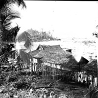 Biak Native Homes 1