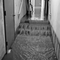 1978 Hoke Flood, Stairs