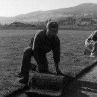 1981 Football Field, New Grass 06