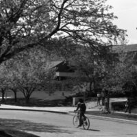 1978 Campus in Autumn 02