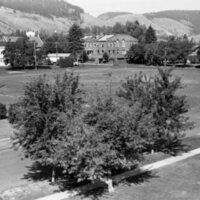 1984 Campus 10