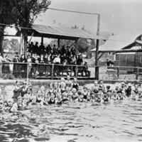 Cove Pool, Swimming 8