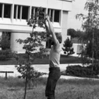 1981 Campus Tree Plantings 08