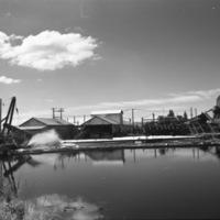 John Day, Log Pond 1