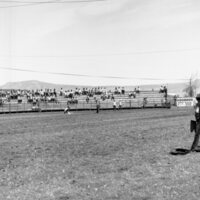 1970 Rodeo, Calf Roping 05