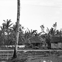 Leyte Local Houses 1