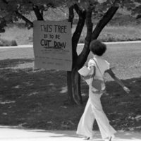 1974 Campus, Save a Tree 01